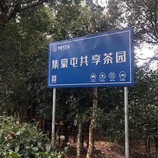 集豪屯共享茶园 茶叶加盟费用