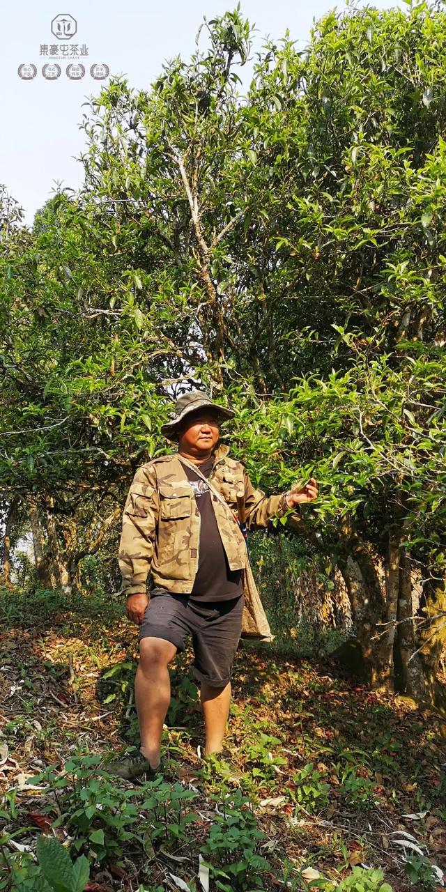 待疫情过去，我第一个想见你